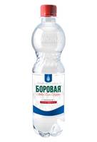 Вода питьевая БОРОВАЯ природная   газированная 0,5л ПЭТ бутылка