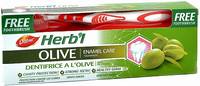 Зубная паста ДАБУР травяная Олива  в комплекте с зубной щёткой 150г упаковка №1